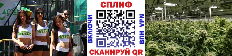 Бошки Шишки марихуана Колпашево